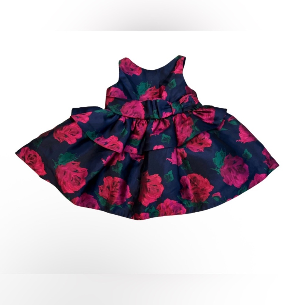 Janie and Jack Baby Girls Navy and Deep Pink Rose Dress Size 3-6 Months